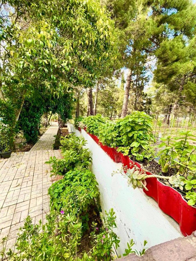 Villavictoria Marias View Pool Apartment Peraia  Bagian luar foto